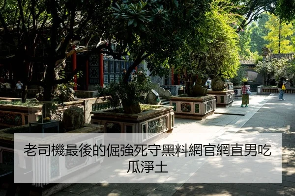老司機最後的倔強死守黑料網官網直男吃瓜淨土